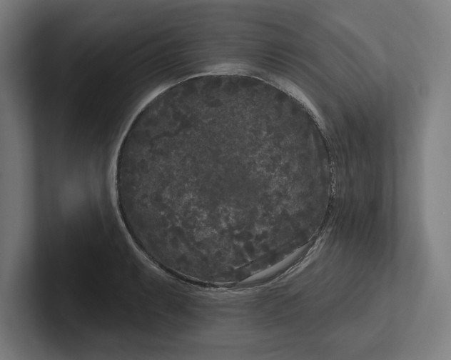 X0000102001087200808011117