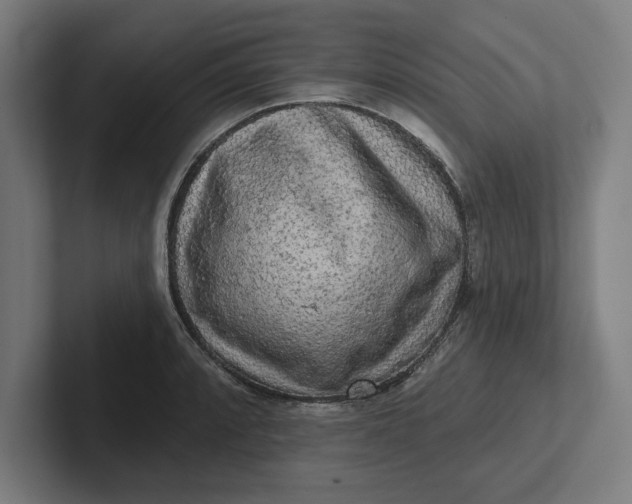 X0000102001088200808011117