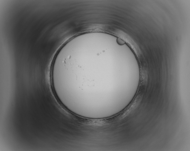 X0000102001090200808011116