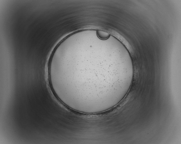 X0000102001092200808011116