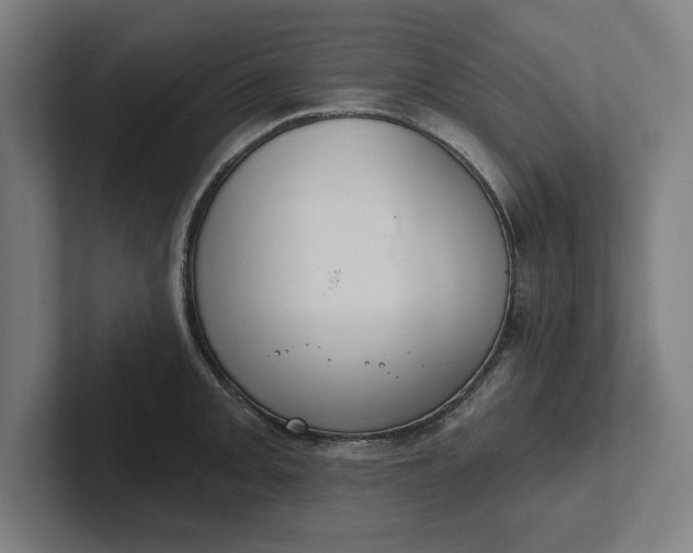 X0000102001093200808011116