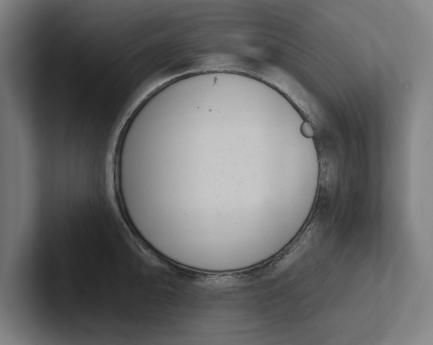 X0000102001094200808011116