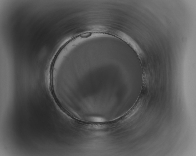 X0000102001095200808011116