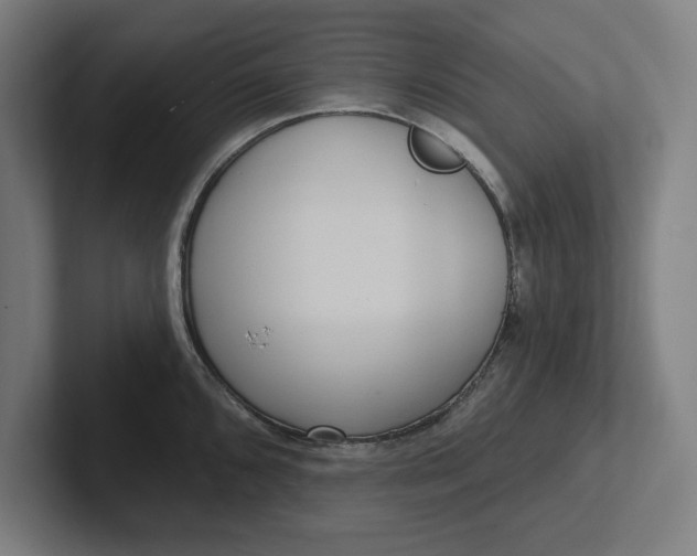 X0000102001096200808011116