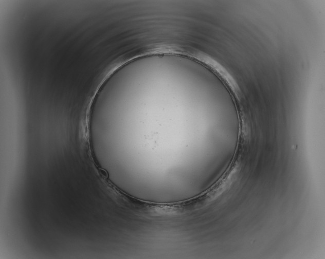 X0000102001097200808011116