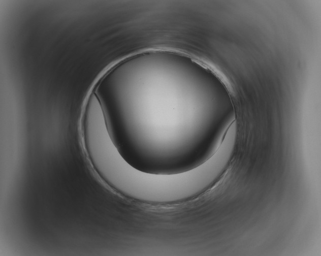 X0000102001100200808011116