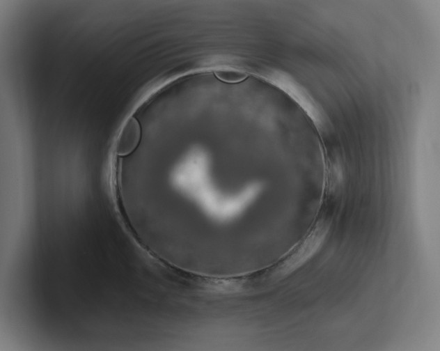 X0000102001101200808011116