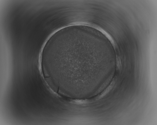 X0000102001102200808011116