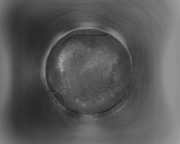 X0000102001104200808011116