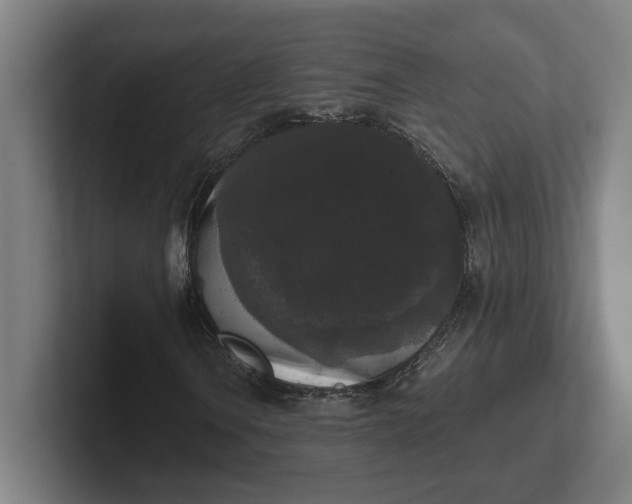 X0000102001106200808011116