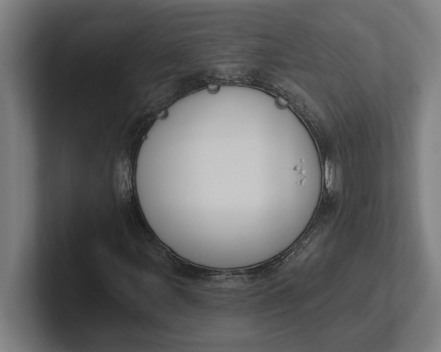 X0000102001107200808011116