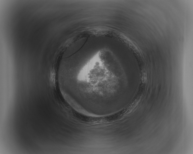 X0000102001108200808011116