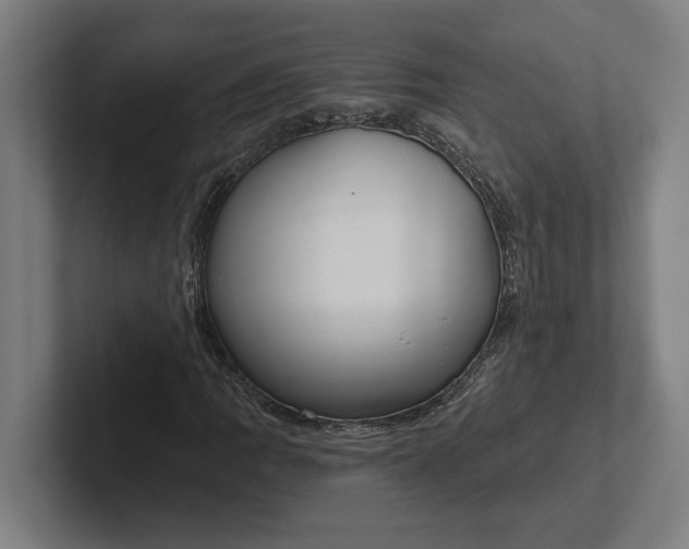 X0000102001109200808011116