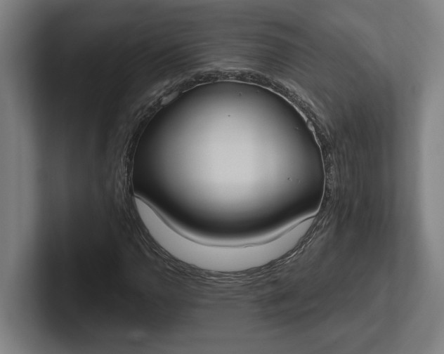 X0000102001110200808011116