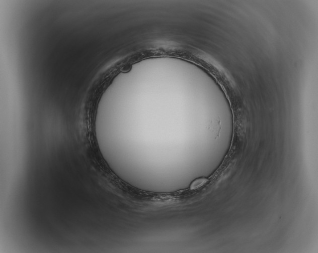 X0000102001112200808011116