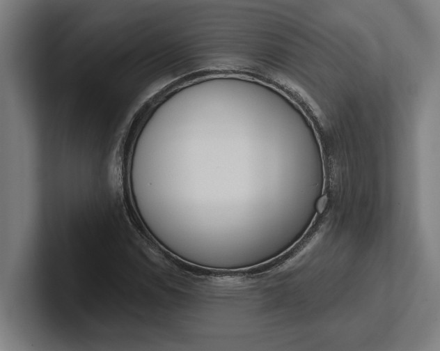 X0000102001114200808011116