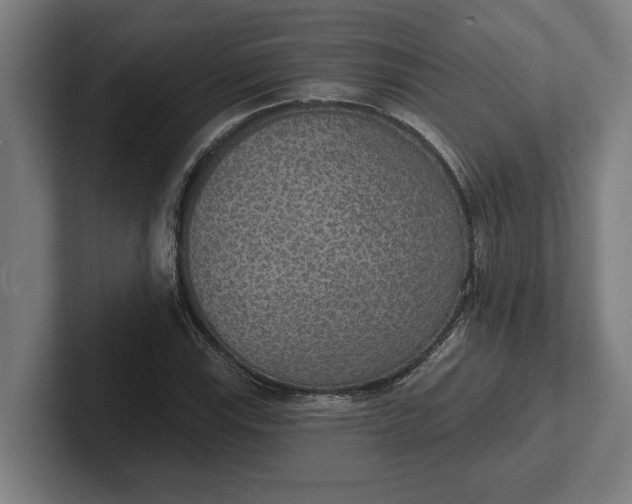 X0000102001115200808011116