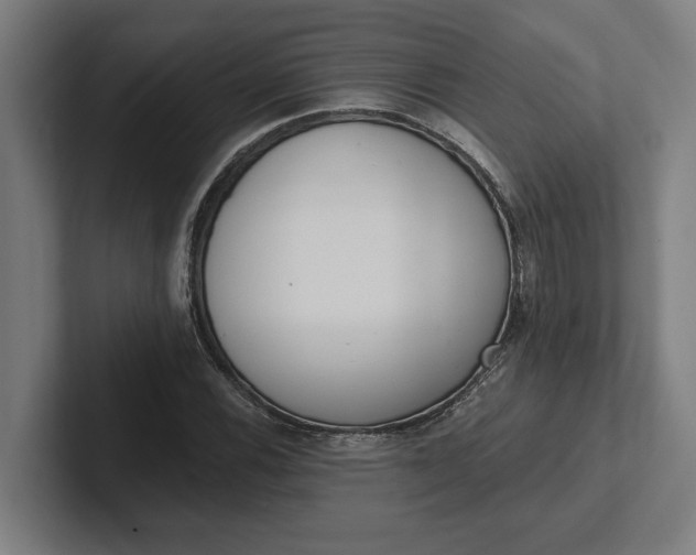 X0000102001116200808011116