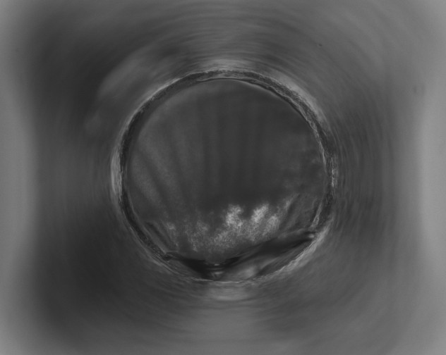 X0000102001117200808011116