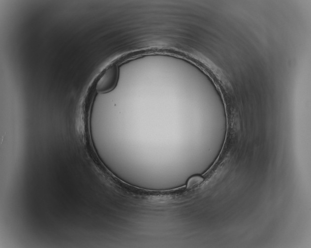 X0000102001118200808011116