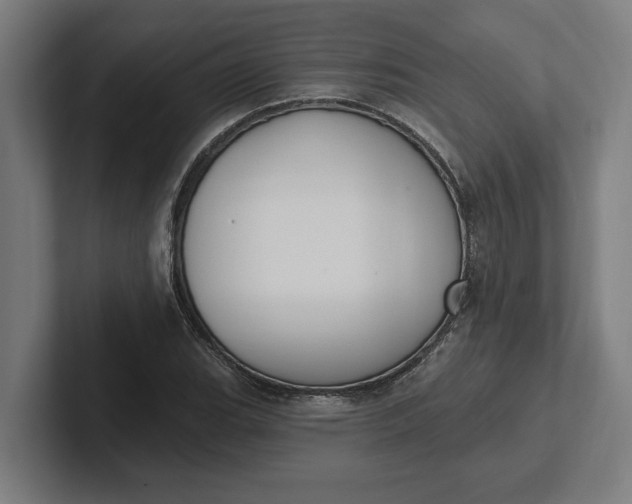 X0000102001119200808011116