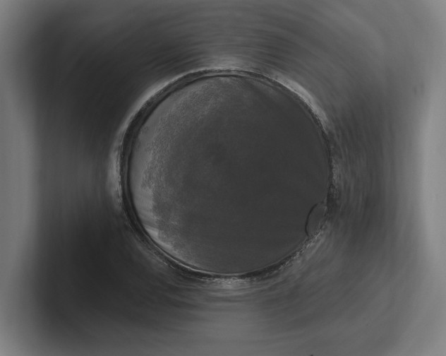 X0000102001120200808011116