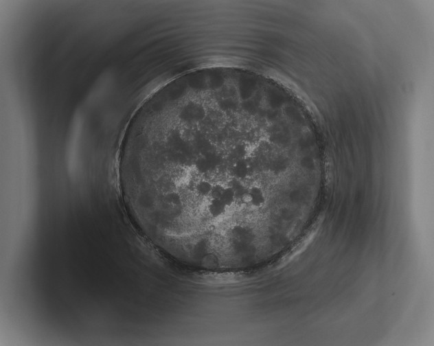 X0000102001121200808011116