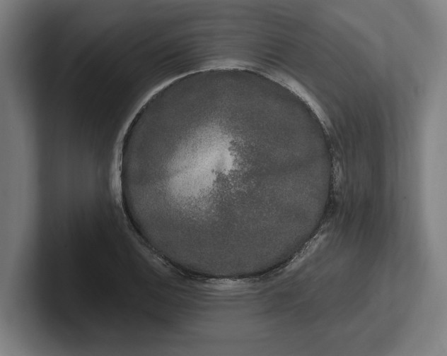 X0000102001124200808011116