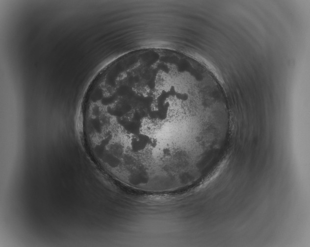 X0000102001125200808011116