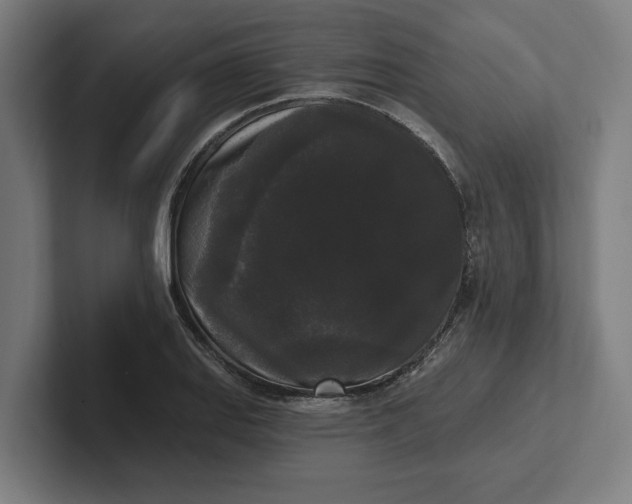 X0000102001127200808011116