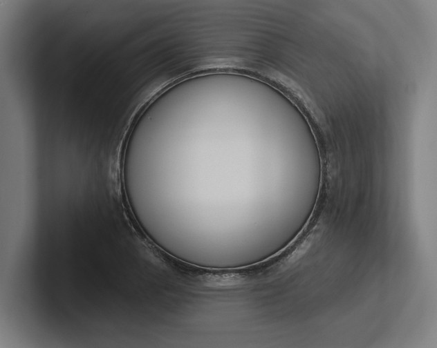 X0000102001129200808011116