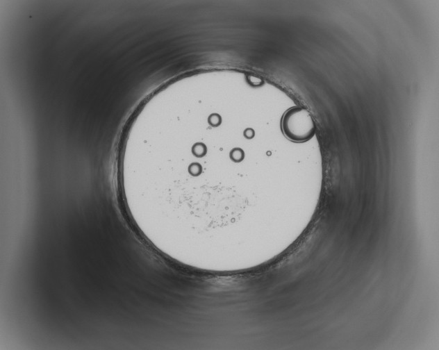 X0000102001130200808011116