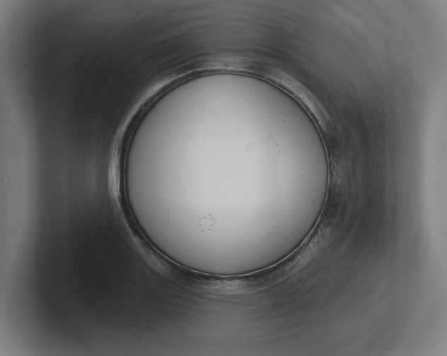 X0000102001131200808011116