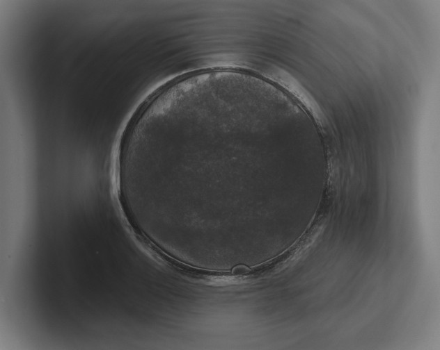 X0000102001132200808011116