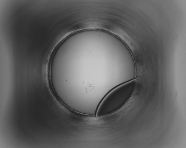 X0000102001134200808011116