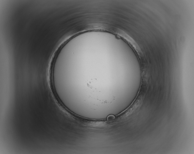 X0000102001135200808011116