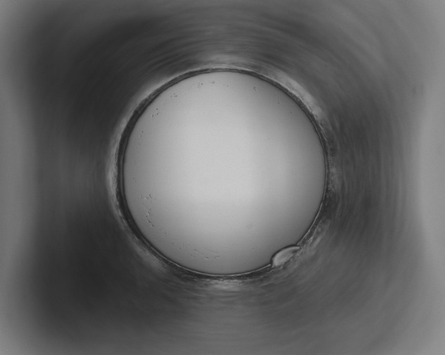 X0000102001136200808011116