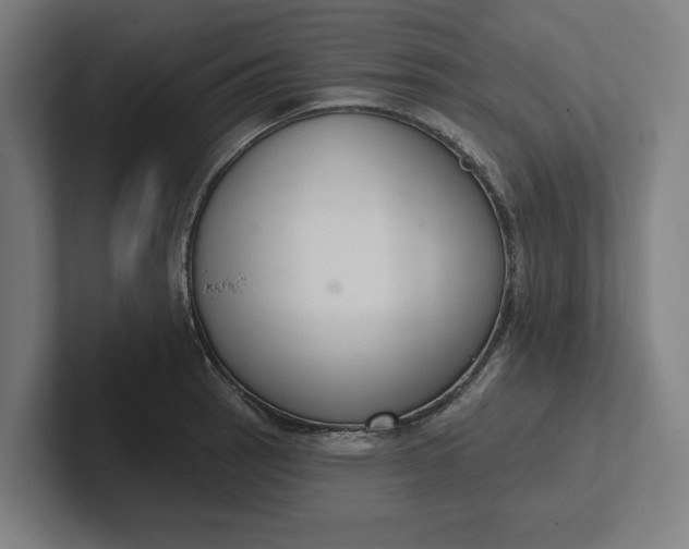 X0000102001137200808011116