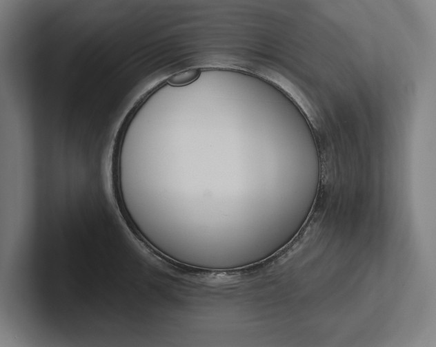 X0000102001139200808011116