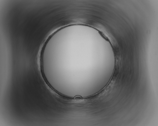 X0000102001143200808011116