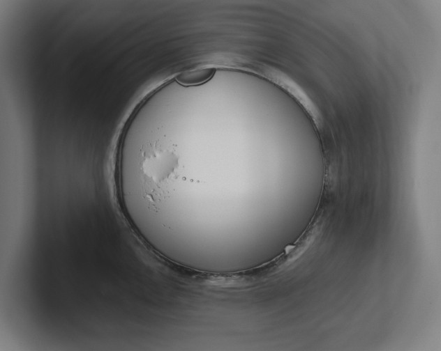 X0000102001146200808011116