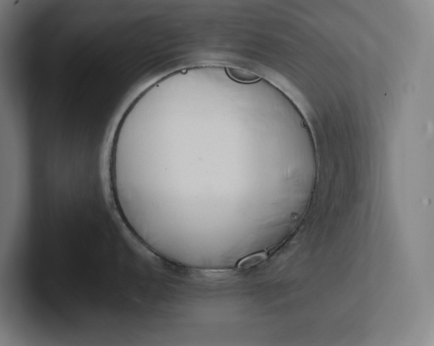 X0000102001152200808011116