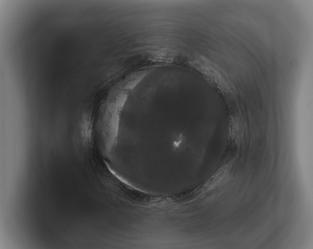 X0000102001154200808011116