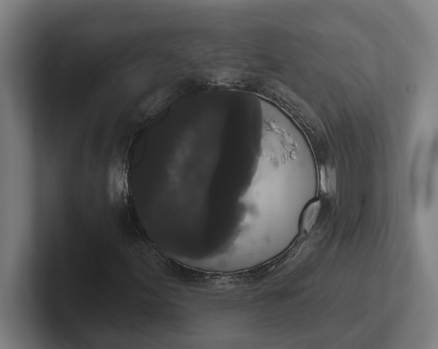 X0000102001155200808011116