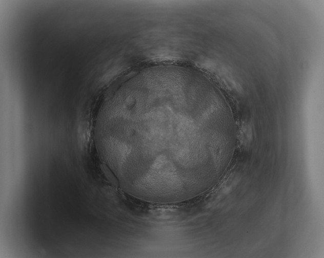 X0000102001157200808011116