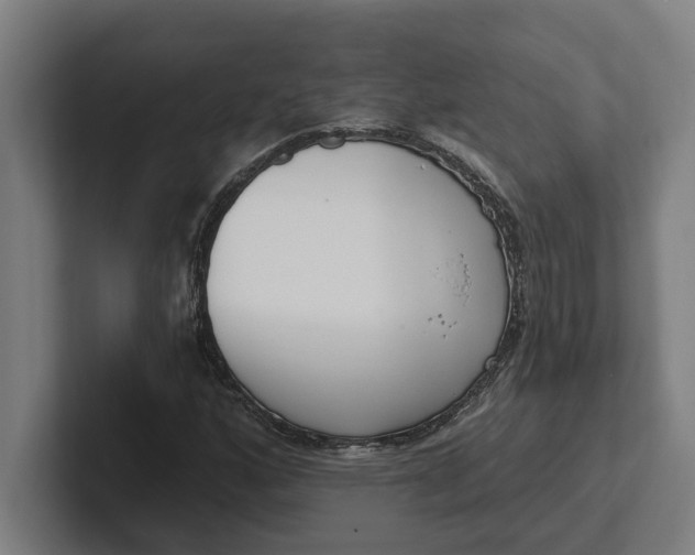 X0000102001160200808011116