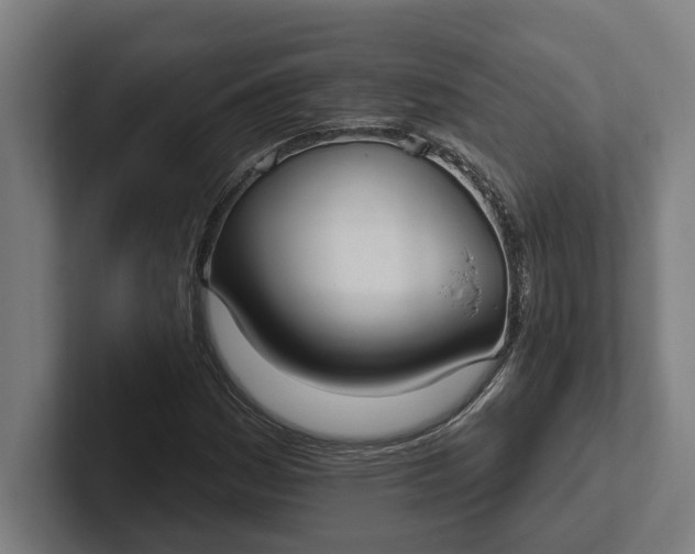 X0000102001161200808011116