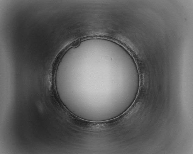 X0000102001165200808011116