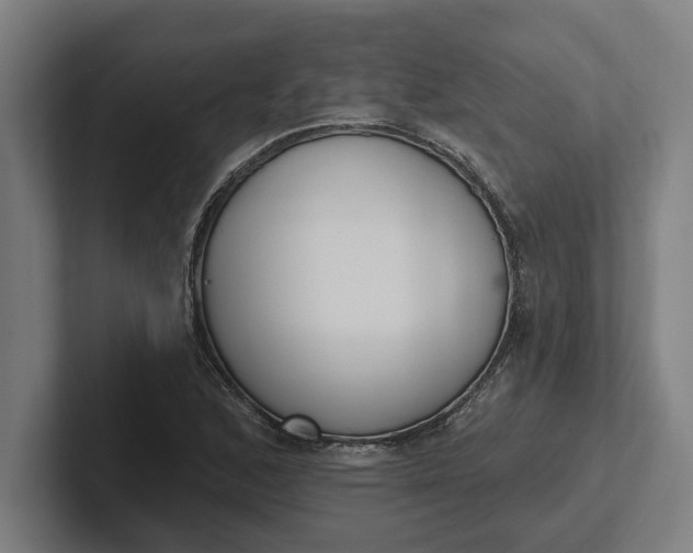 X0000102001168200808011115