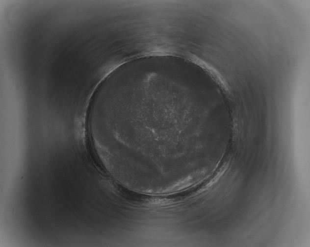 X0000102001170200808011115